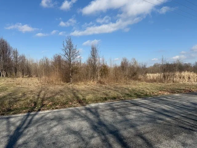 $45,000 | 0 Lavern Road, De Soto, IL 62924