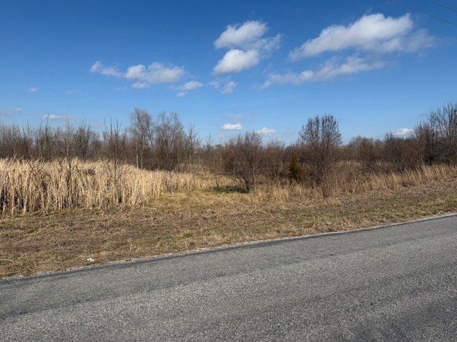 0 Lavern Road De Soto, IL 62924 - Photo 2 of 5