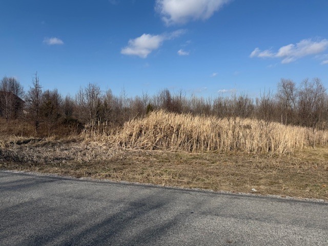 0 Lavern Road De Soto, IL 62924 - Photo 3 of 5