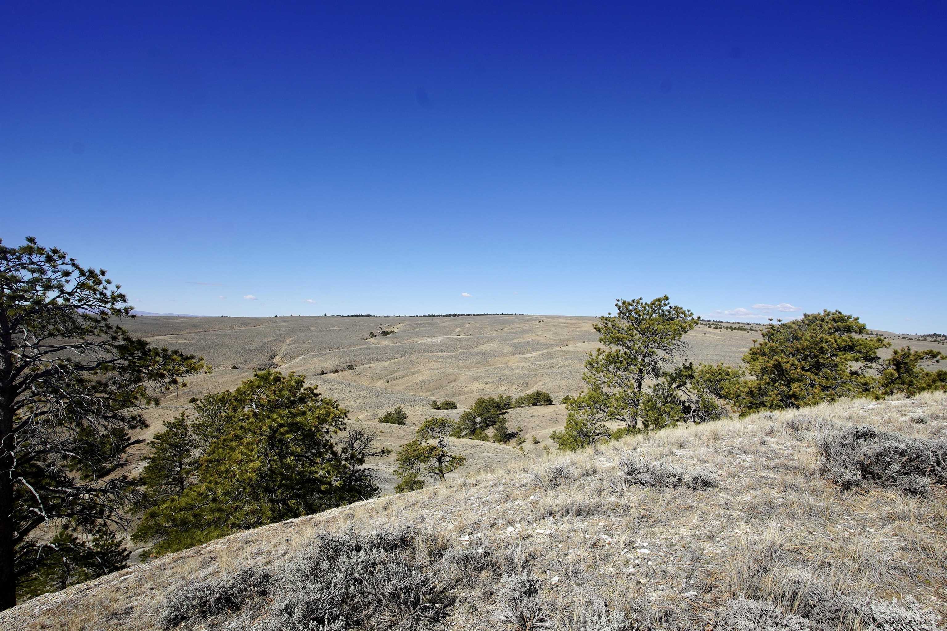6500 Spike Road Natrona, WY 82646 - Photo 10 of 10