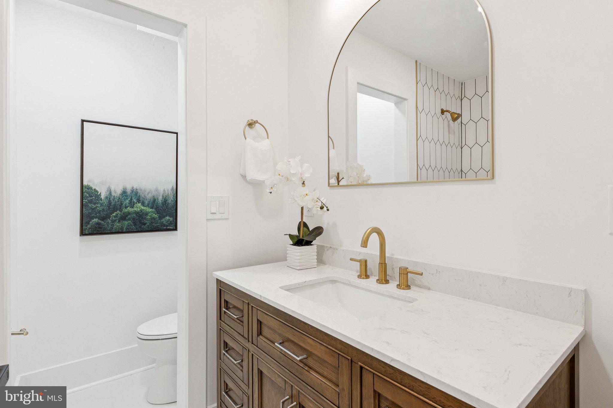 2608 4th Street Northeast, Unit 1 Washington, DC 20002 - Photo 17 of 27 a bathroom with a sink a toilet and mirror