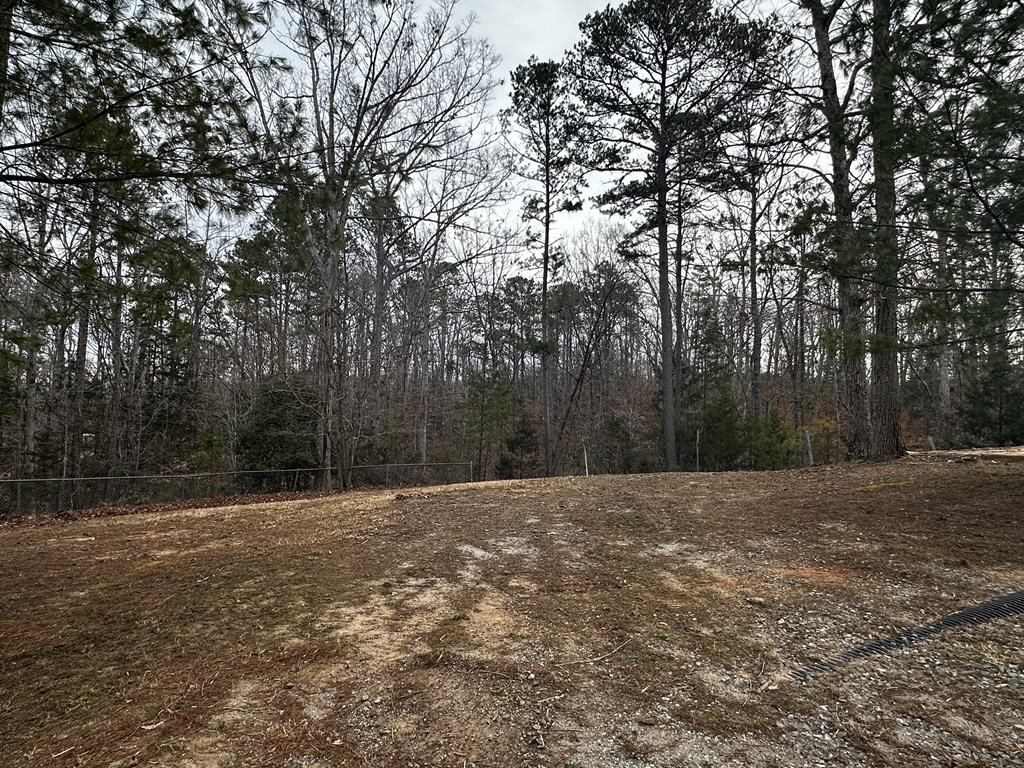 81 Catfish Cove Road Abbeville, SC 29620 - Photo 58 of 59 Gallery Image 58