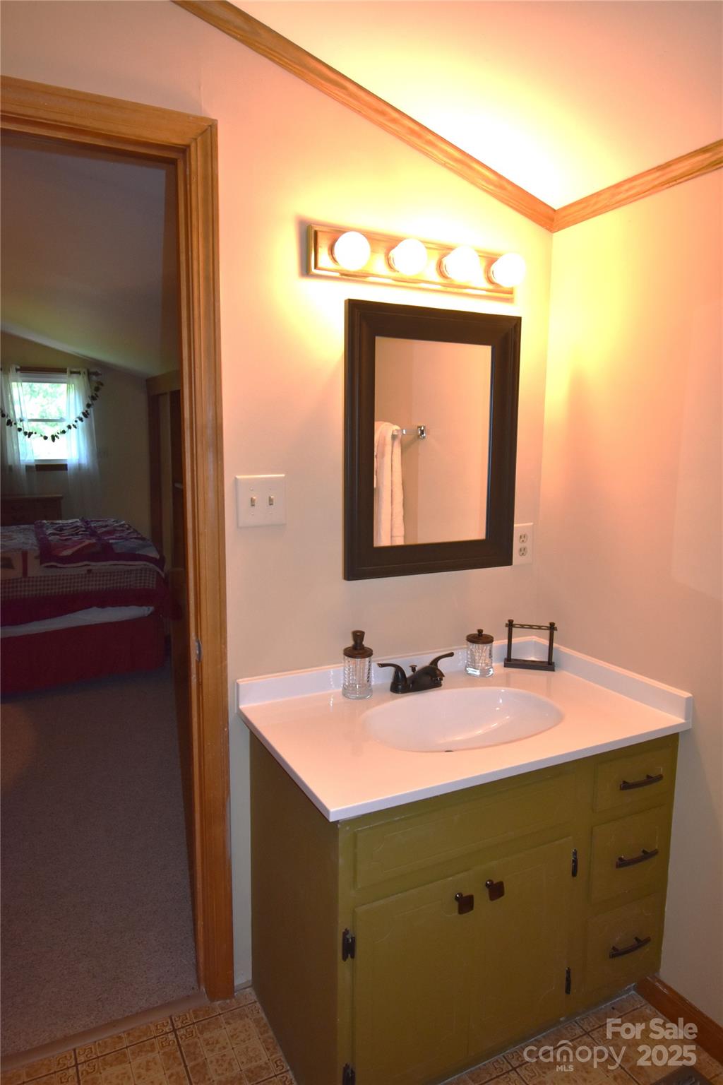 5769 Birch Street Conover, NC 28613 - Photo 25 of 45 a bathroom with a sink and a mirror