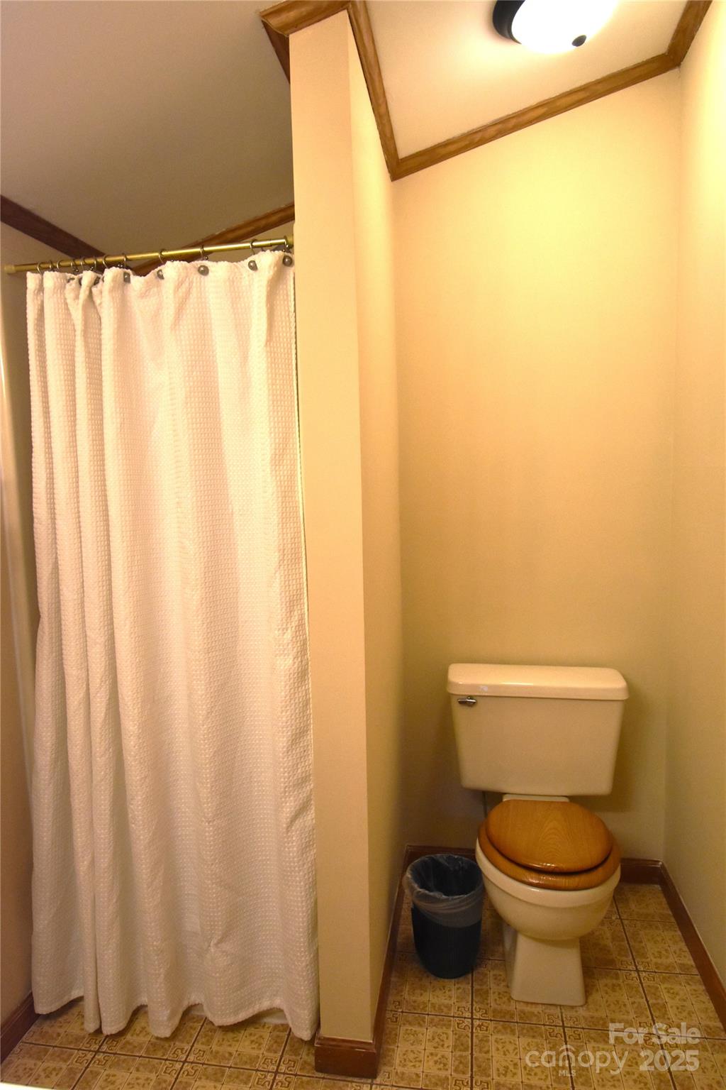 5769 Birch Street Conover, NC 28613 - Photo 26 of 45 a bathroom with a toilet and a shower curtain