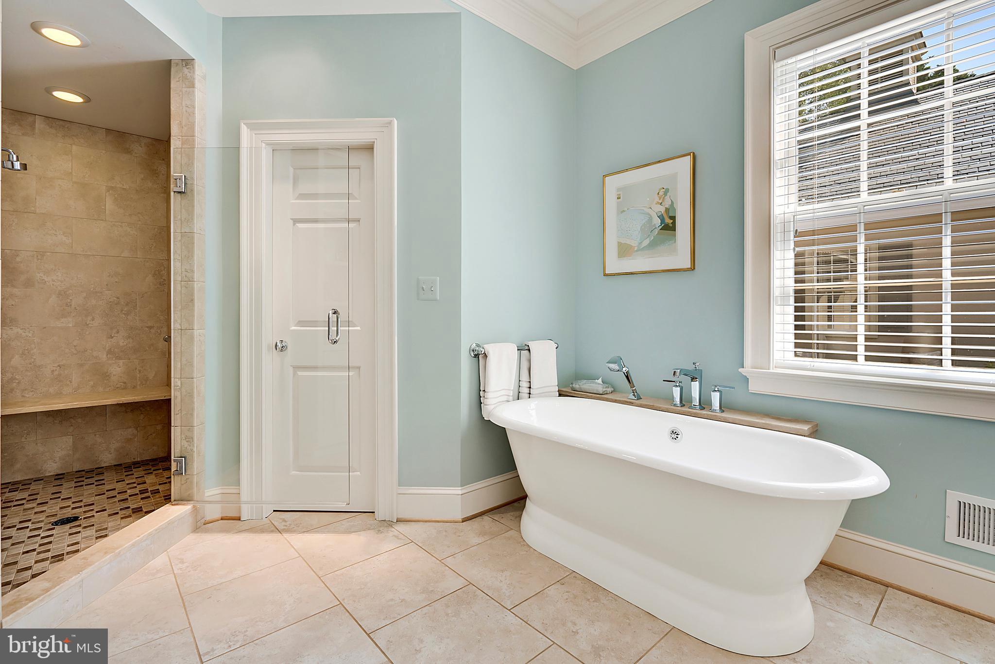 8295 Lees Ridge Road Warrenton, VA 20186 - Photo 22 of 47 Master bath