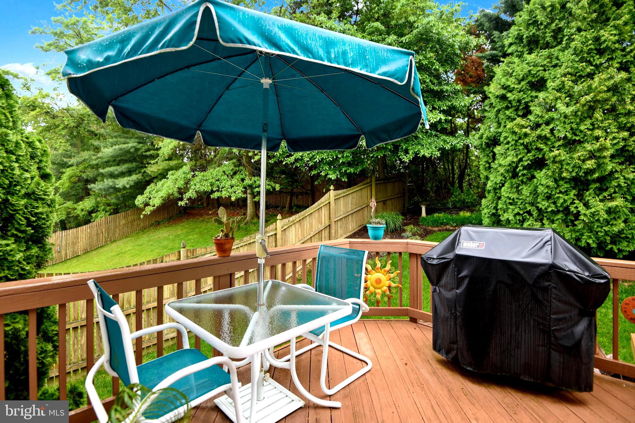 1401 Bretton View Road Annapolis, MD 21409 - Photo 24 of 52 A Grillmaster's Dream Deck Under Sun & Stars!