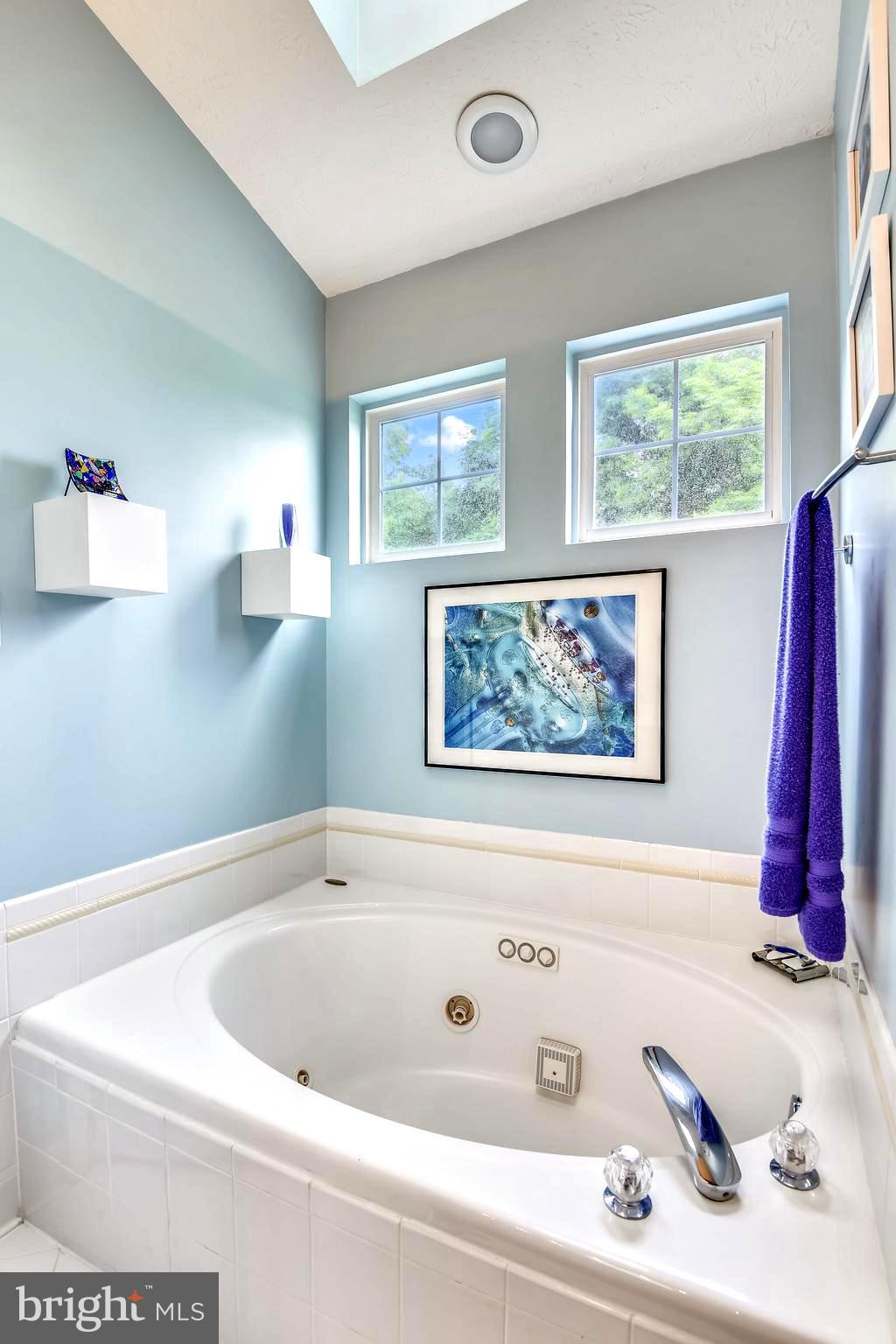 1401 Bretton View Road Annapolis, MD 21409 - Photo 39 of 52 Jacuzzi Spa Soaking Tub and Separate Shower