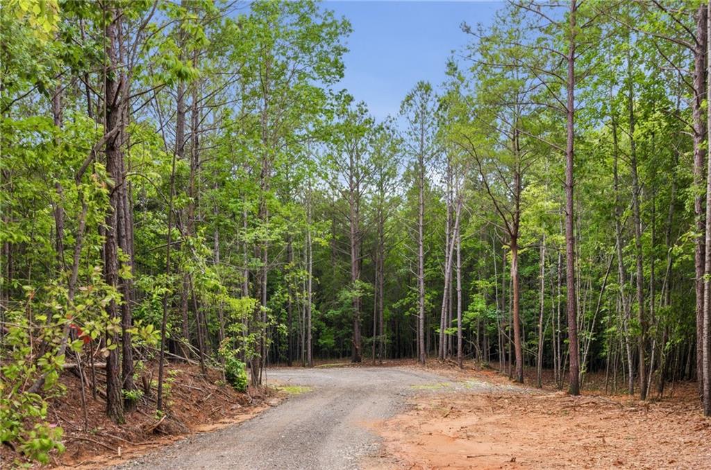 Lot 1 Pete Path Dallas, GA 30157 - Photo 13 of 21