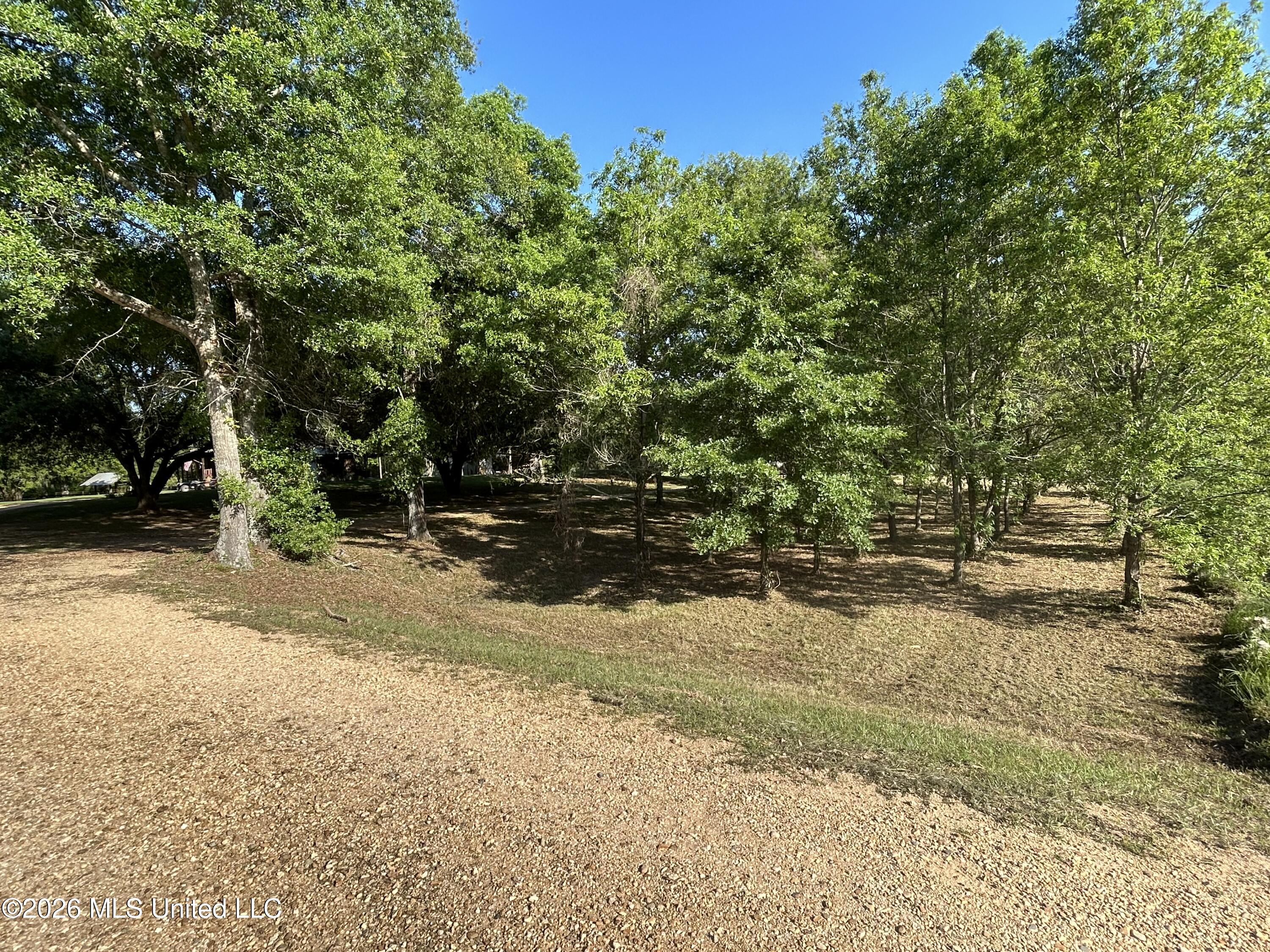 86 Kennedy Road Tylertown, MS 39667 - Photo 18 of 19 IMG_4082