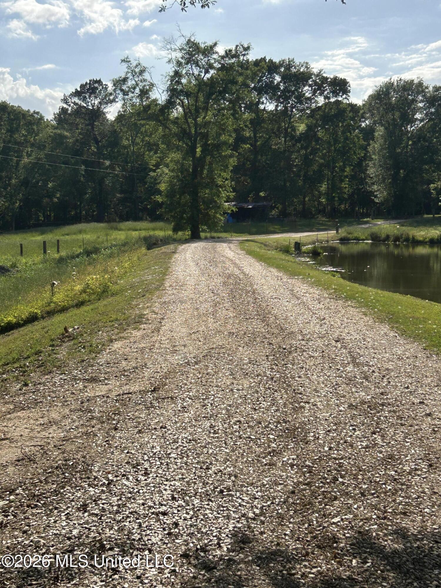 86 Kennedy Road Tylertown, MS 39667 - Photo 19 of 19 IMG_4081
