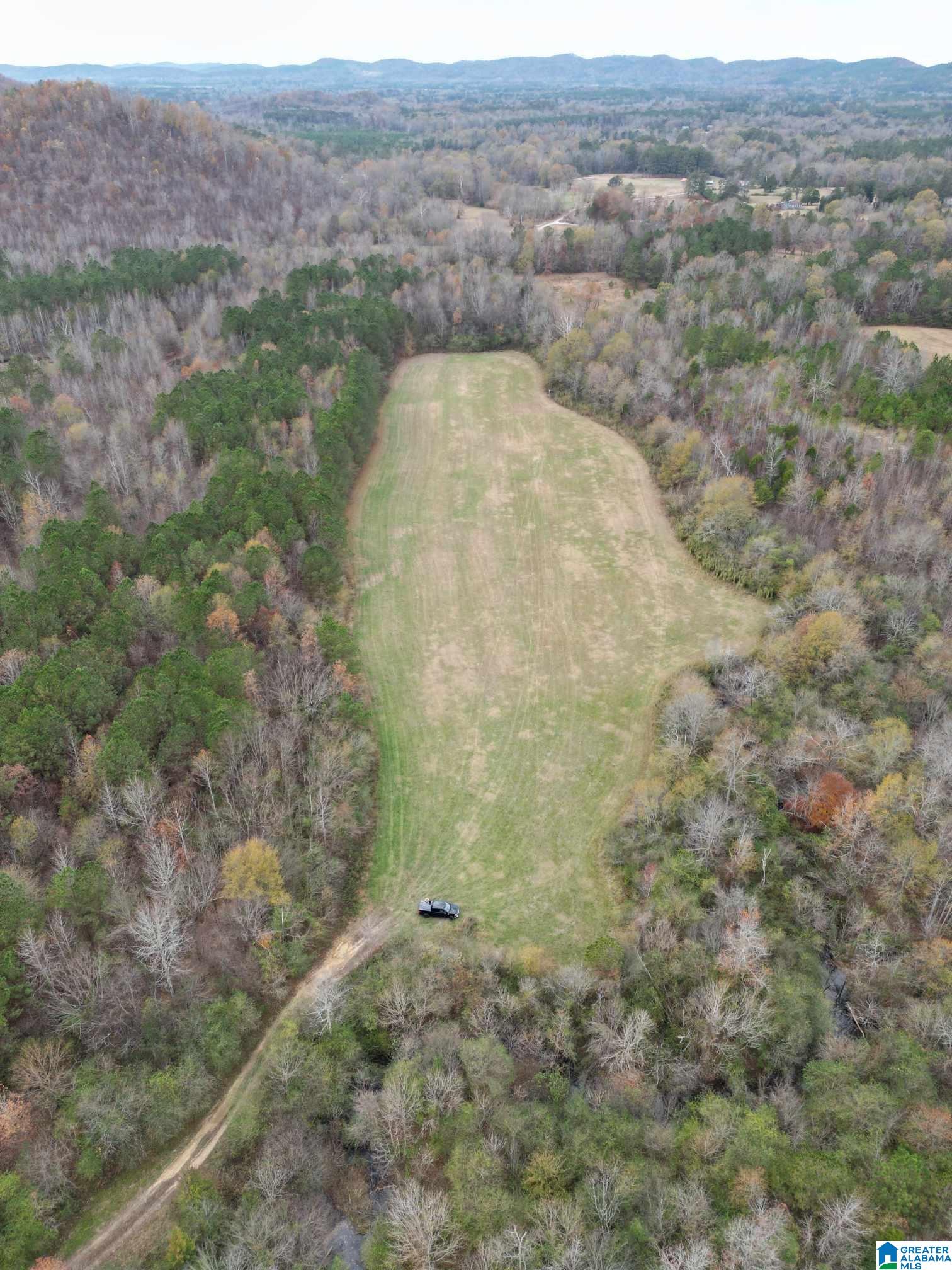 0 Nisbet Lake Road Jacksonville, AL 36265 - Photo 9 of 9