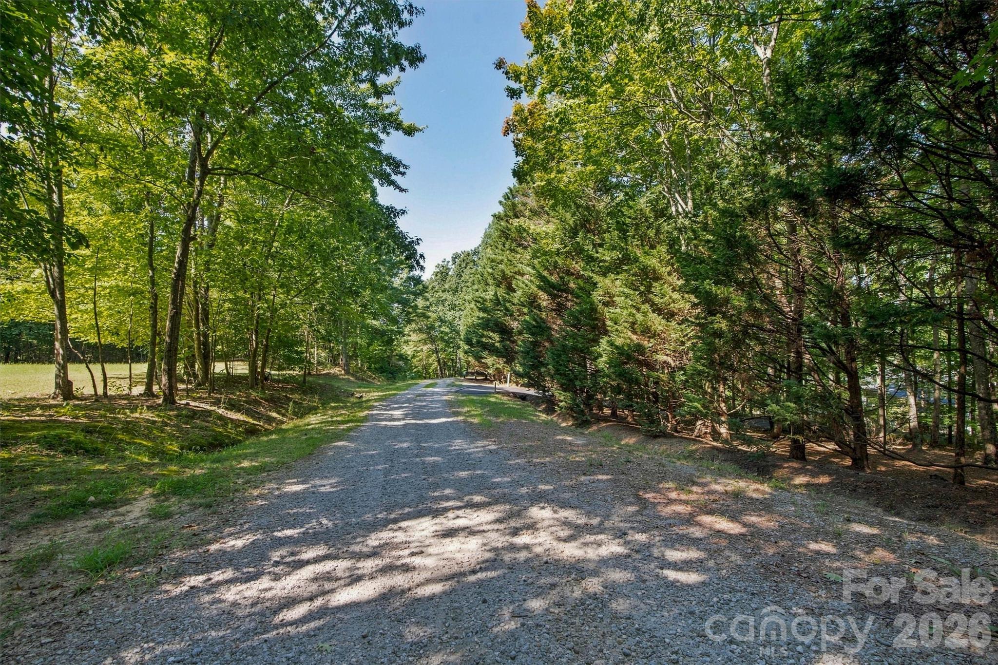 0 Harrelson Ridge Road Taylorsville, NC 28681 - Photo 4 of 7 Gallery Image 4