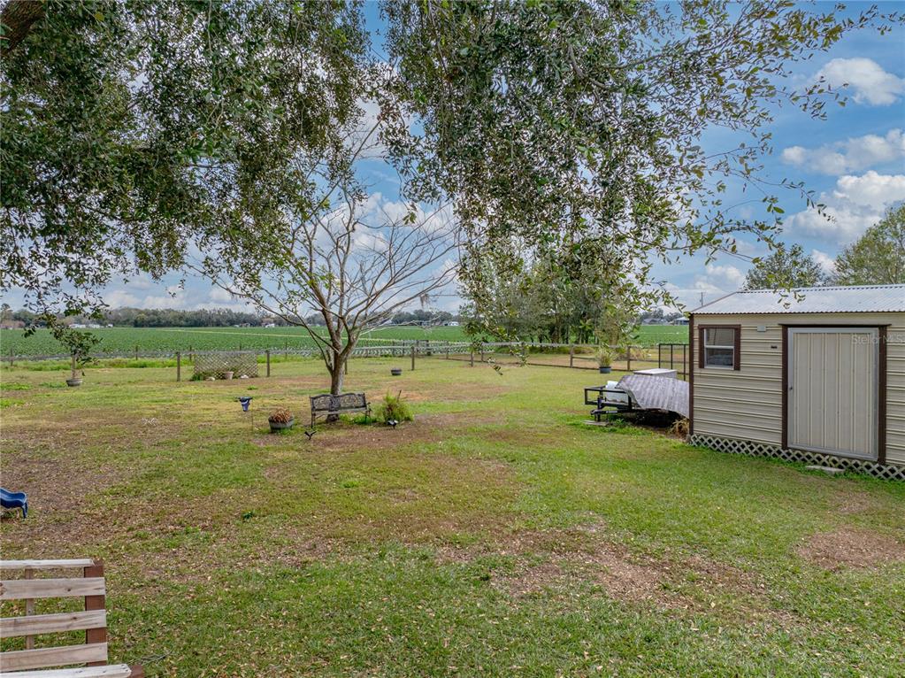 3006 Clemons Road Plant City, FL 33566 - Photo 62 of 87 Gallery Image 62