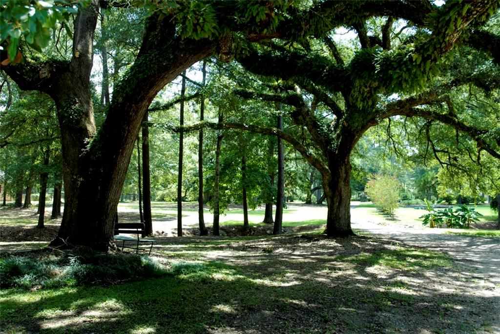 62295 Fish Hatchery Road Lacombe, LA 70445 - Photo 5 of 25 Gallery Image 5