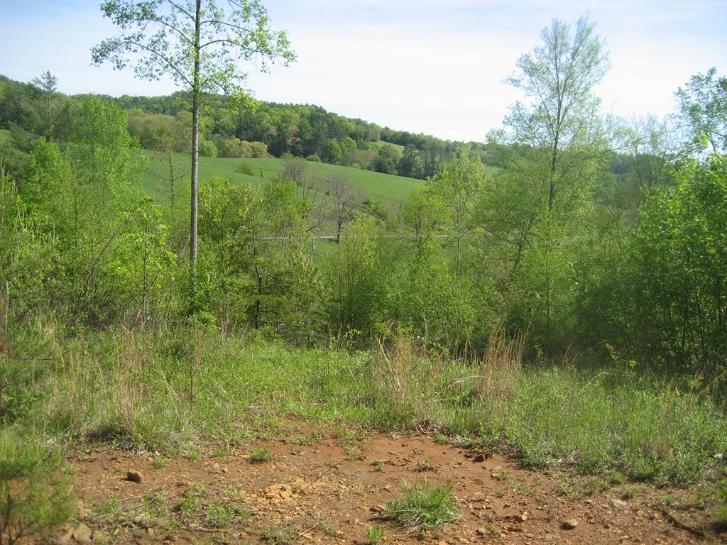 654 Silver Leaf Road, Unit 33 Dugspur, VA 24325 - Photo 1 of 13 Gallery Image 1