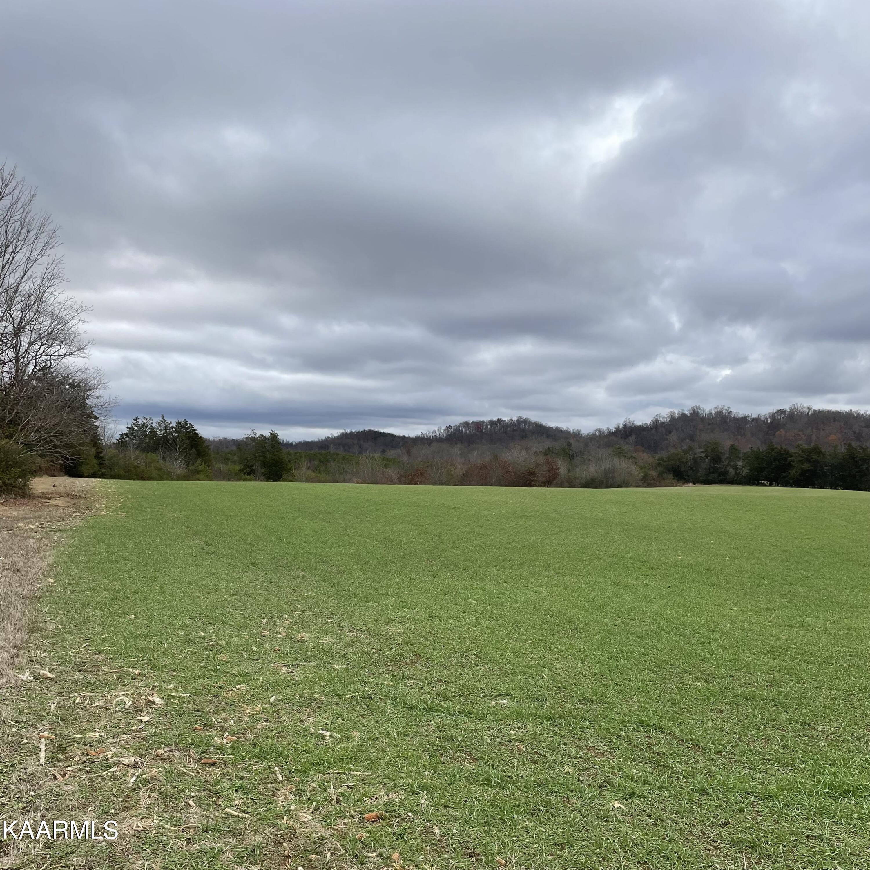 Lot 3 Ballplay Road Madisonville, TN 37354 - Photo 2 of 16 IMG-5154