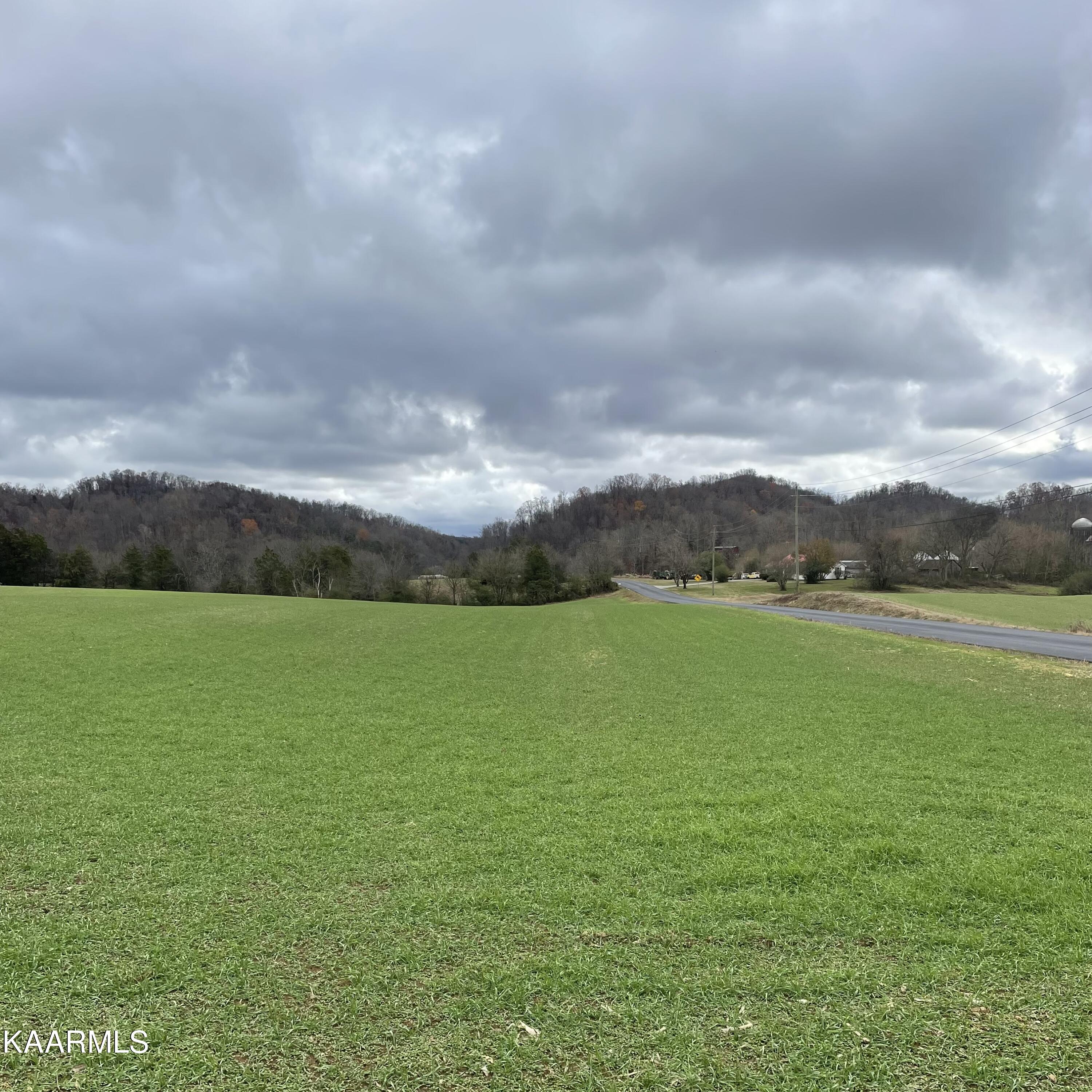 Lot 3 Ballplay Road Madisonville, TN 37354 - Photo 4 of 16 IMG-5155