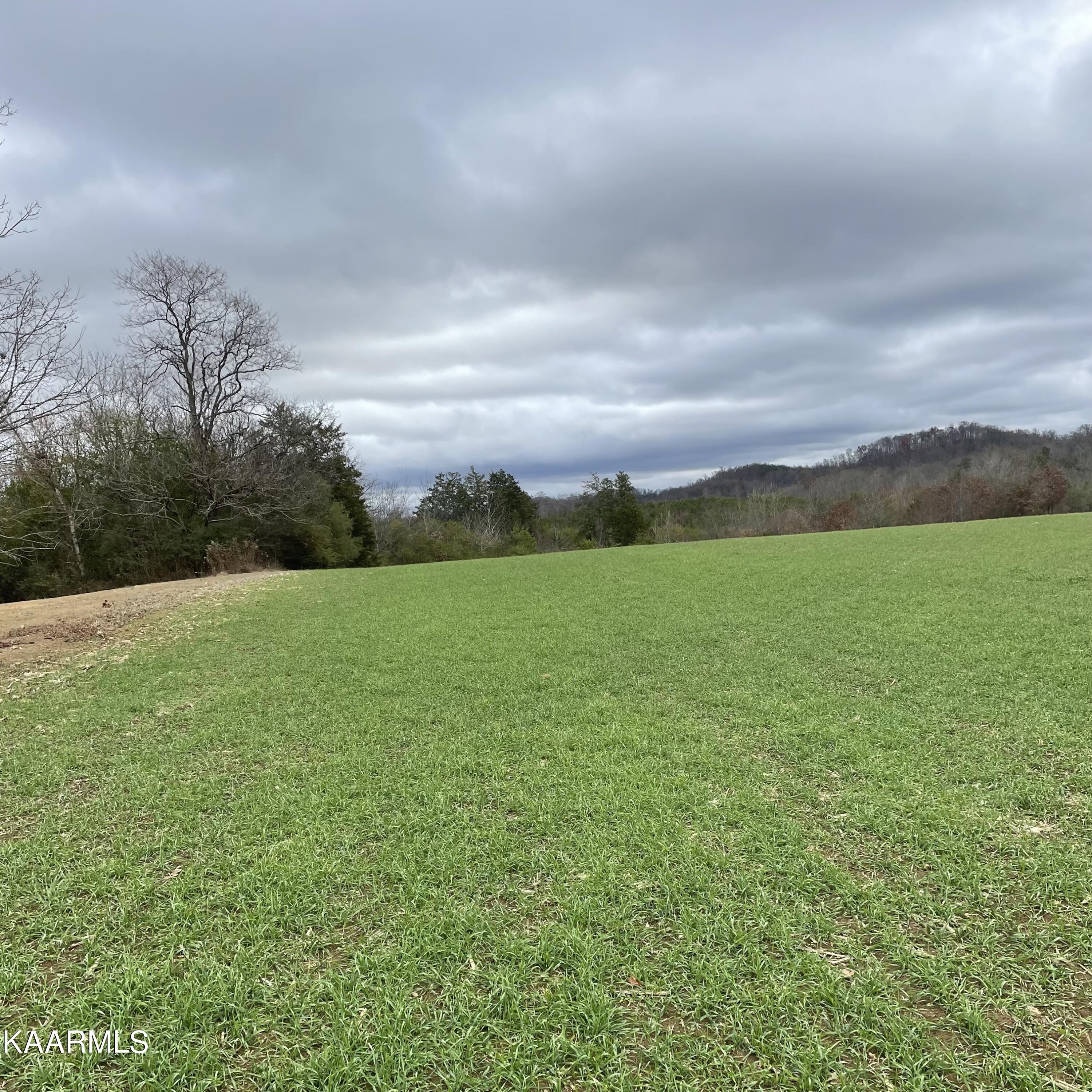 Lot 3 Ballplay Road Madisonville, TN 37354 - Photo 6 of 16 IMG-5156