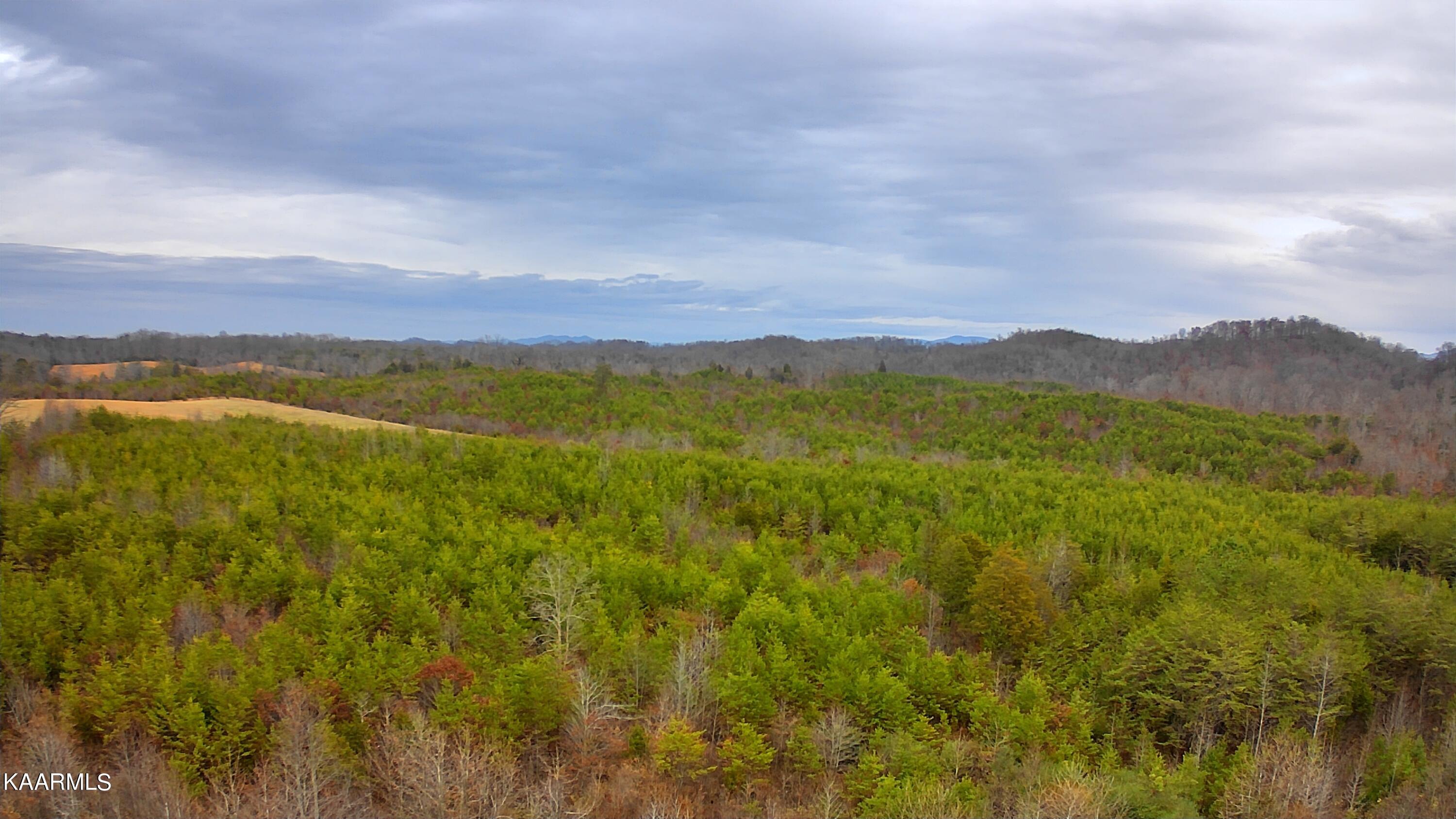 Lot 3 Ballplay Road Madisonville, TN 37354 - Photo 9 of 16 Drone 4