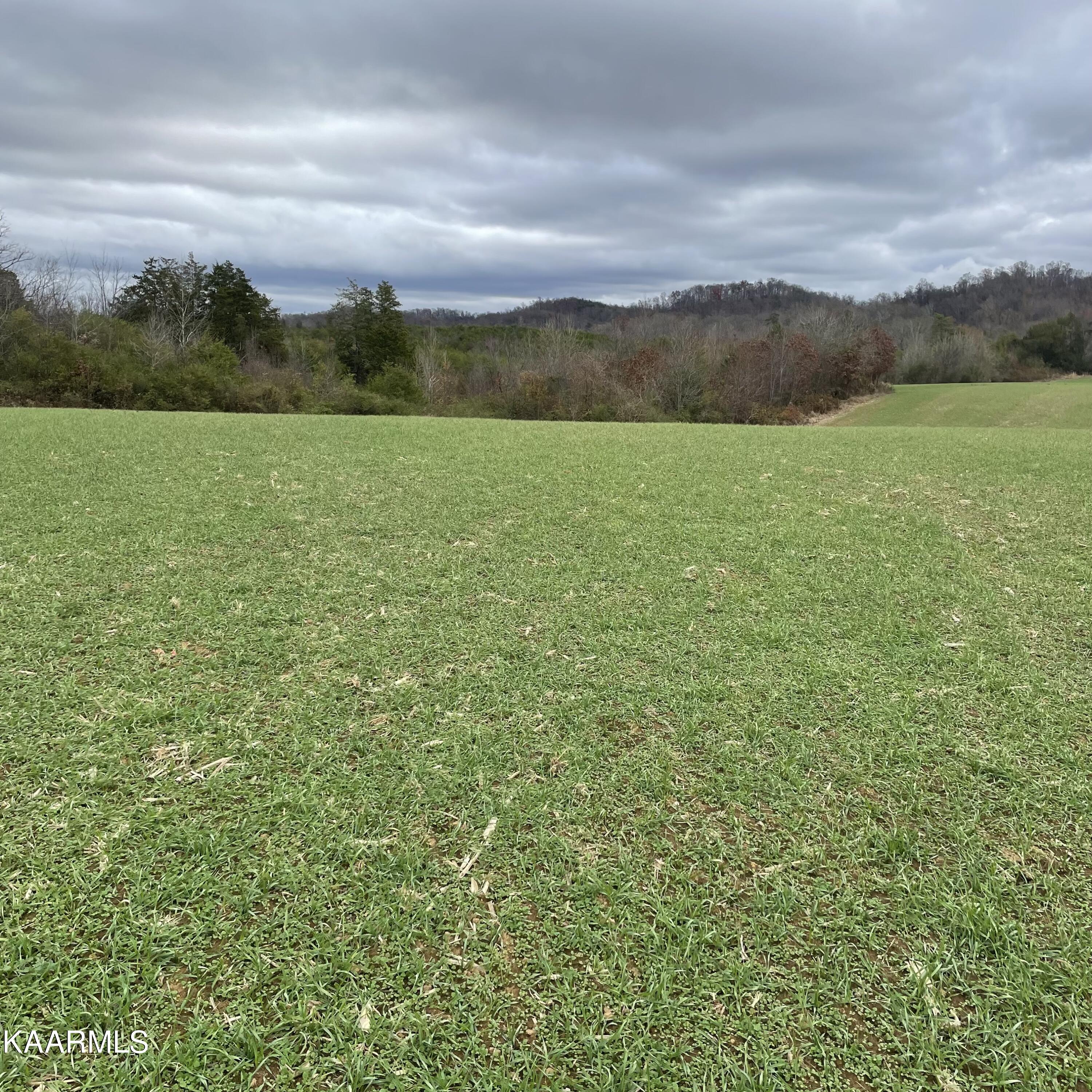 Lot 3 Ballplay Road Madisonville, TN 37354 - Photo 10 of 16 IMG-5158