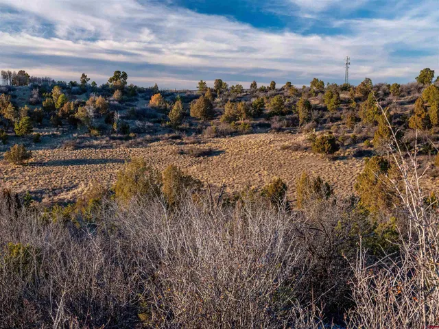 $235,000 | 5 Dolores Co 81323, Dolores, CO 81323