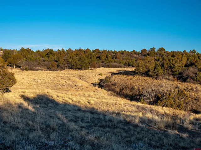 $235,000 | 5 Dolores Co 81323, Dolores, CO 81323