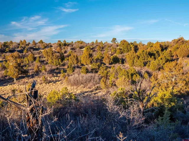 $235,000 | 5 Dolores Co 81323, Dolores, CO 81323