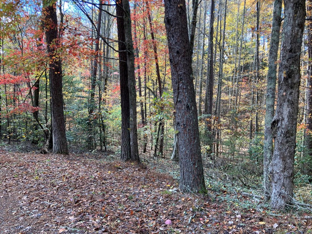39 A Hedden Stiles Road Murphy, NC 28906 - Photo 7 of 30
