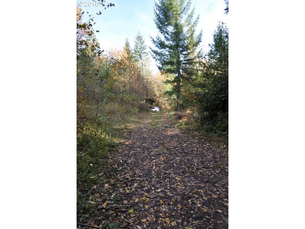 242 Archer Mountain Road Stevenson, WA 98648 - Photo 16 of 17 Gallery Image 16