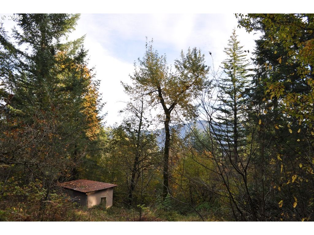 242 Archer Mountain Road Stevenson, WA 98648 - Photo 17 of 17 Gallery Image 17