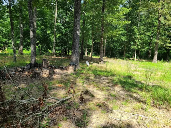 a view of a yard with a tree