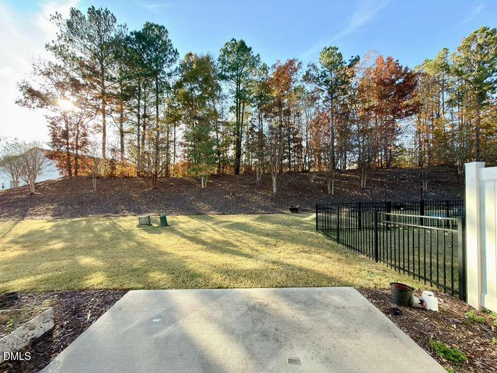 1152 Chestnut Bluff Run Apex, NC 27502 - Photo 33 of 35 a view of a backyard