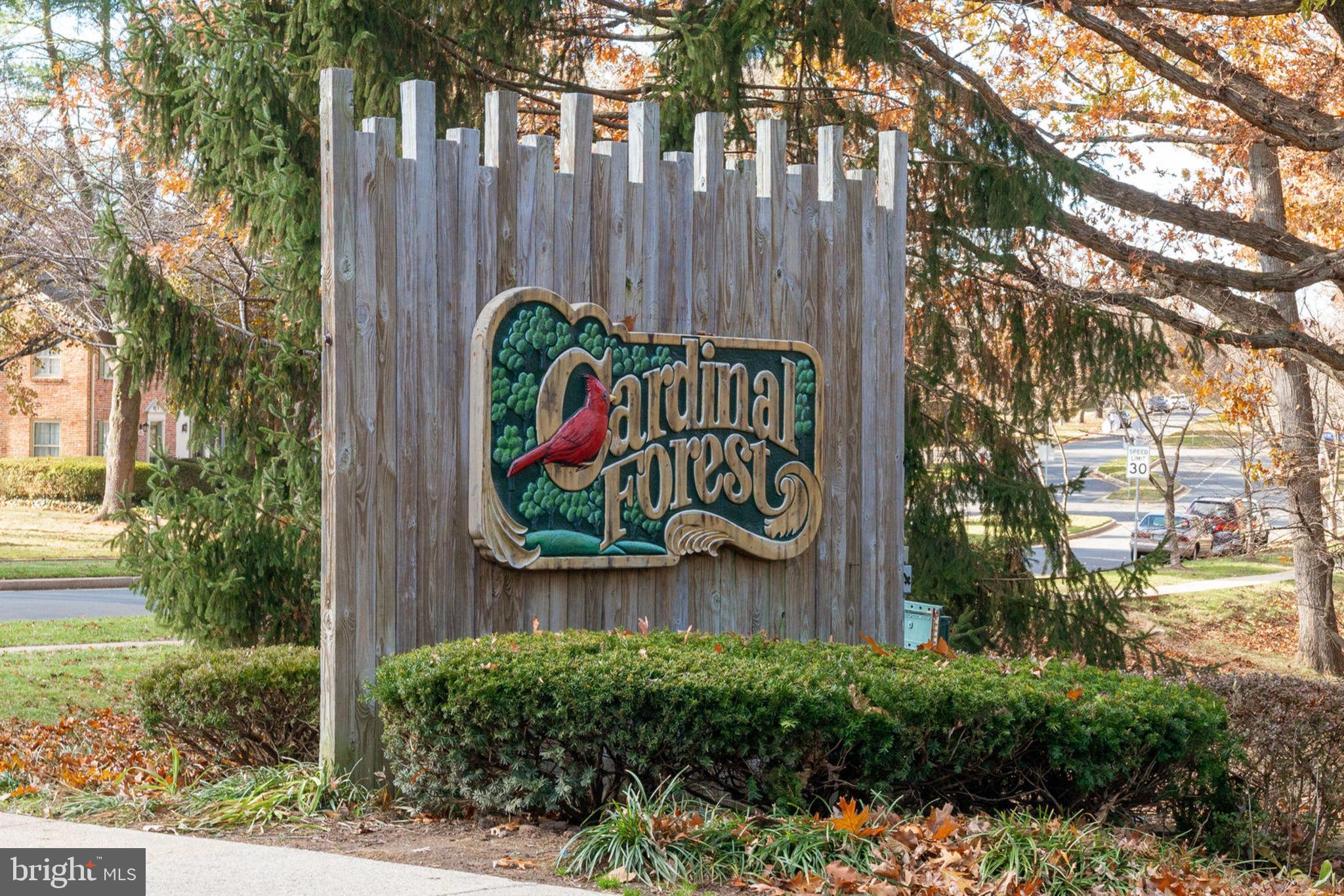 5905 Noblestown Road, Unit 52 Springfield, VA 22152 - Photo 31 of 31 Welcome to Cardinal Forest!