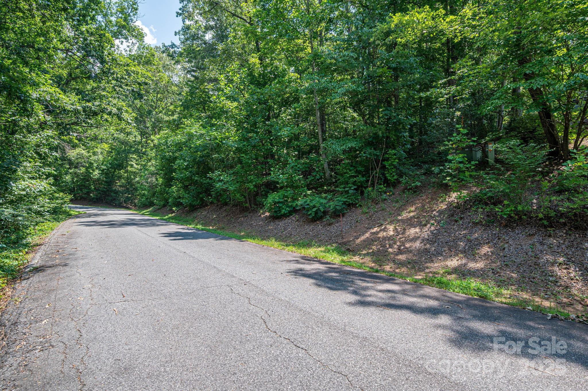 Lot #36 Moss Drive Rutherfordton, NC 28139 - Photo 11 of 23
