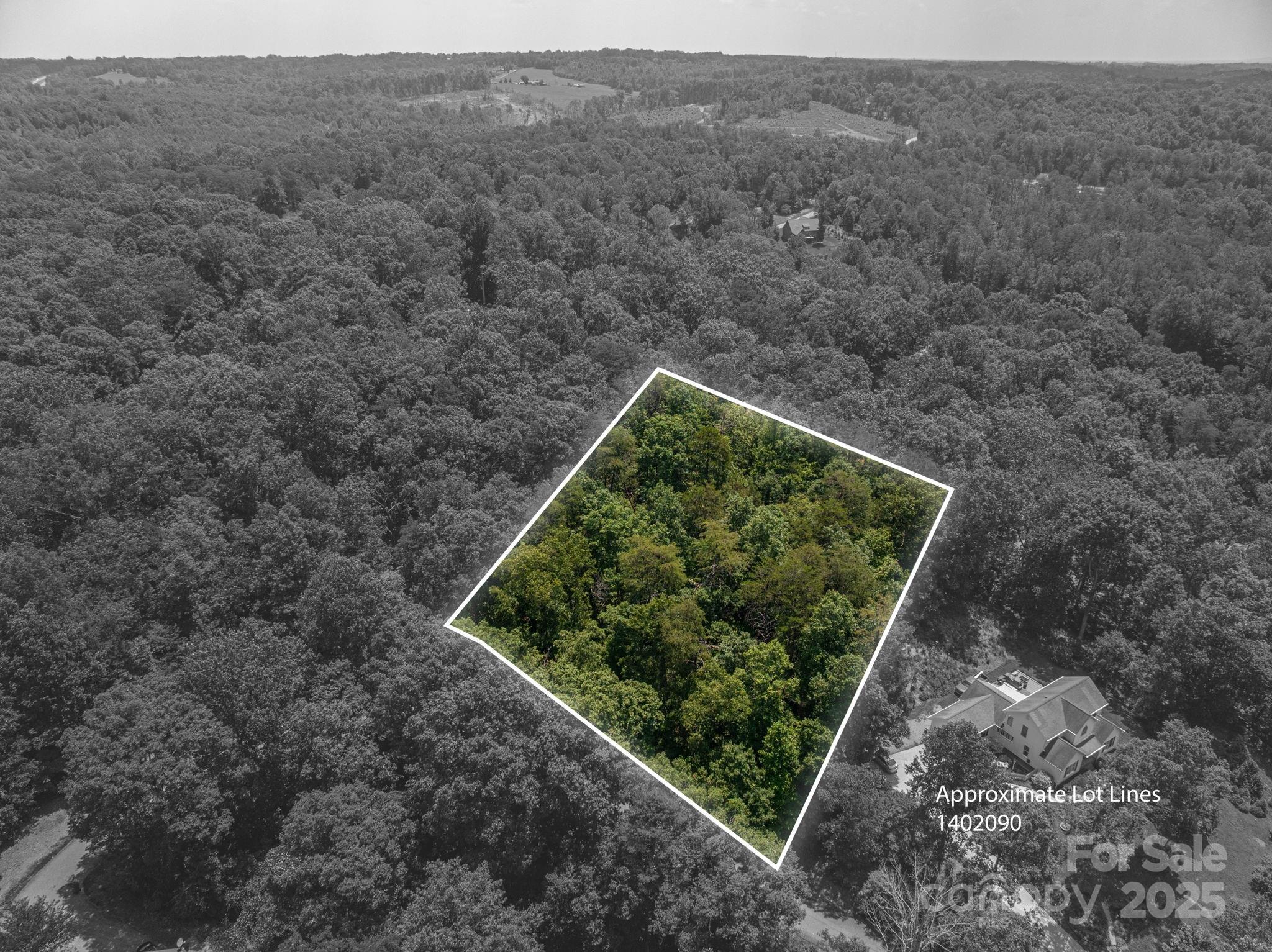 Lot #36 Moss Drive Rutherfordton, NC 28139 - Photo 2 of 23