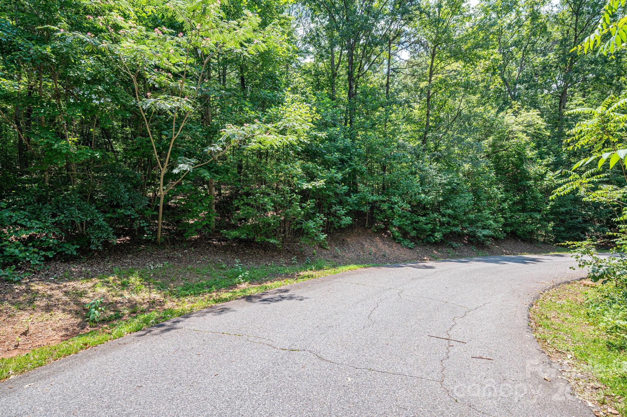 Lot #36 Moss Drive Rutherfordton, NC 28139 - Photo 7 of 23