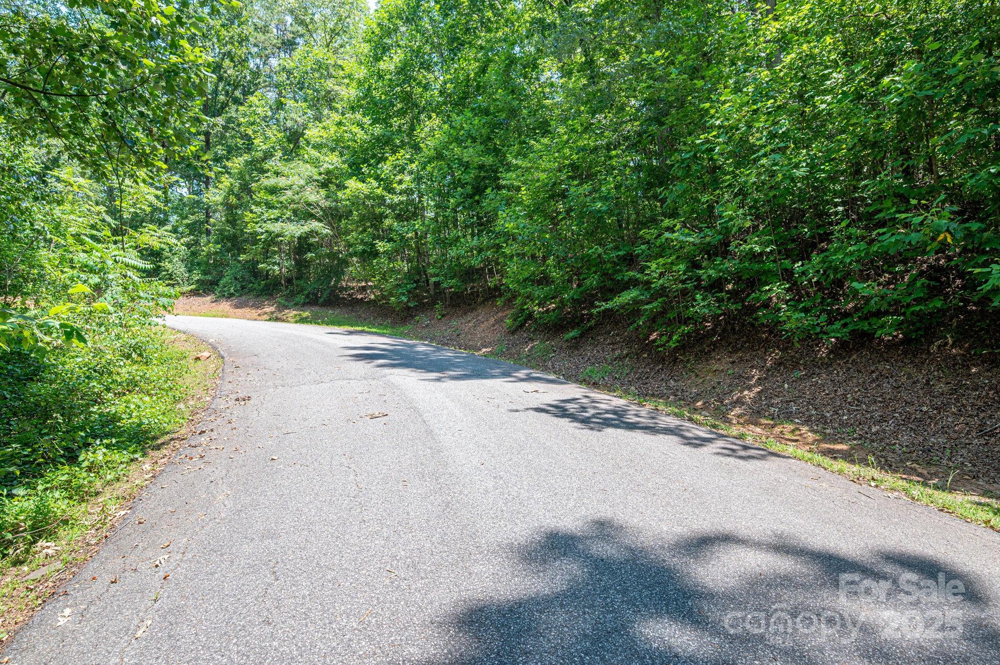 Lot #36 Moss Drive Rutherfordton, NC 28139 - Photo 9 of 23