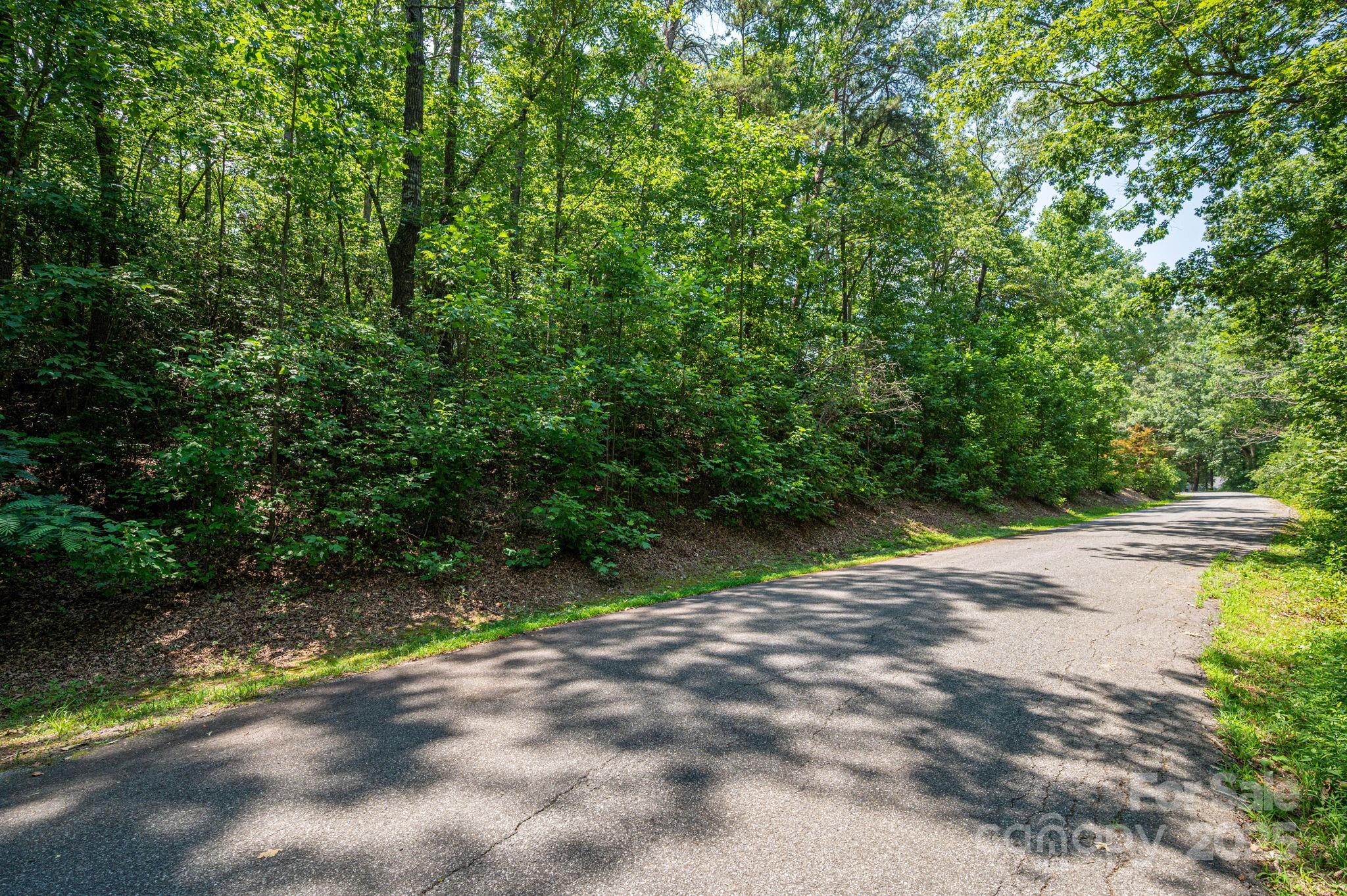 Lot #36 Moss Drive Rutherfordton, NC 28139 - Photo 10 of 23
