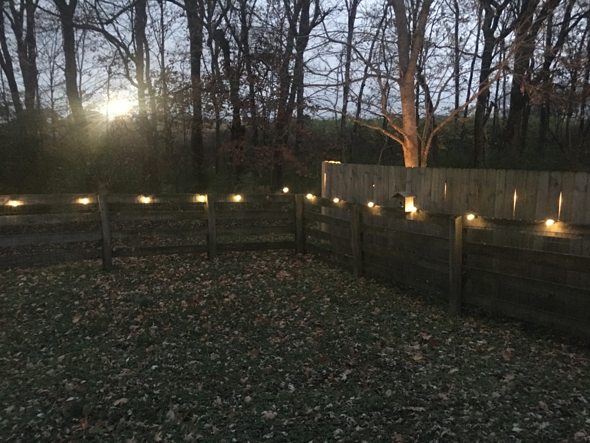 1038 Lexington Farms Drive Spring Hill, TN 37174 - Photo 33 of 34 a view of outdoor space and yard