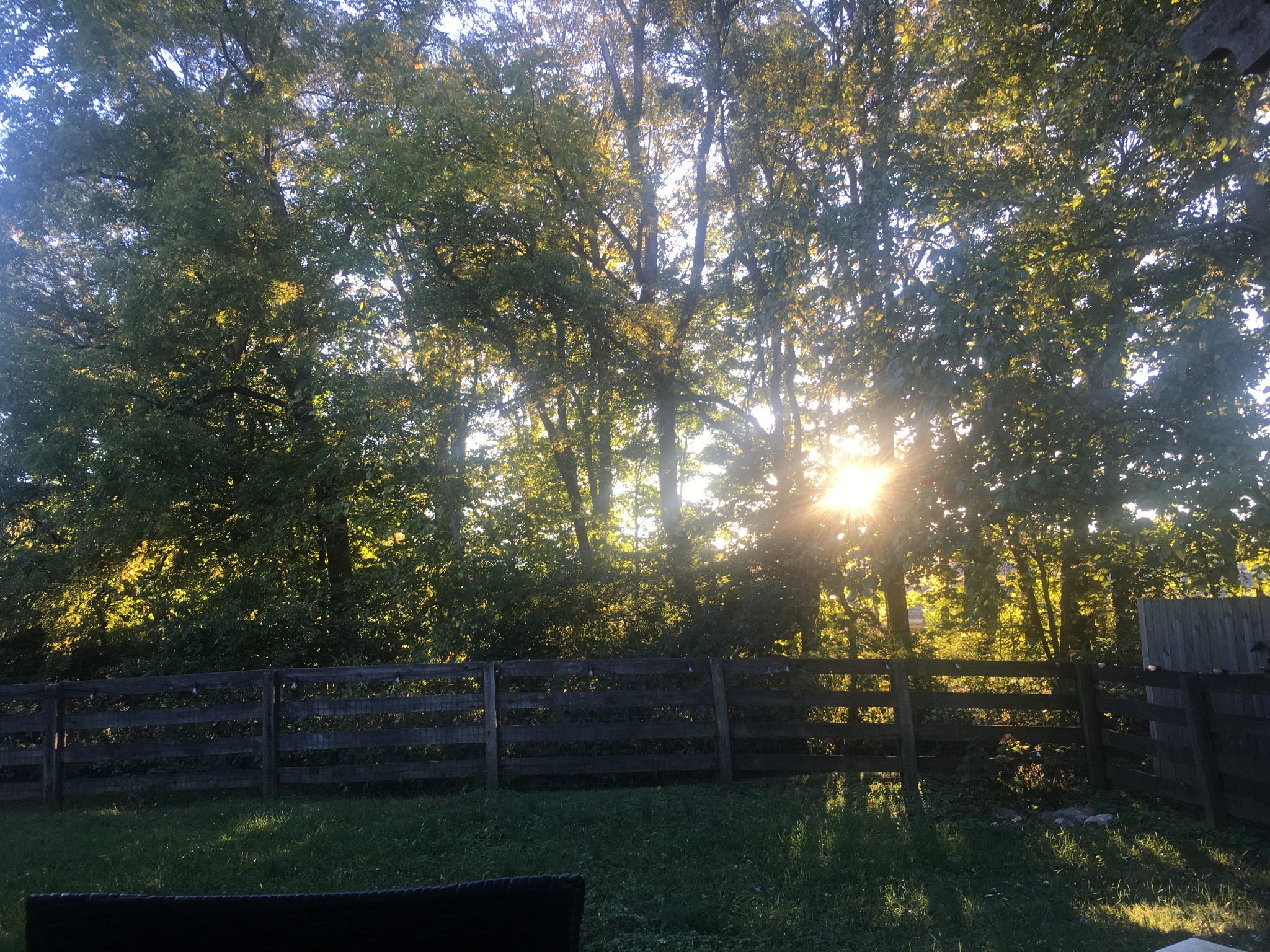 1038 Lexington Farms Drive Spring Hill, TN 37174 - Photo 34 of 34 a view of a yard