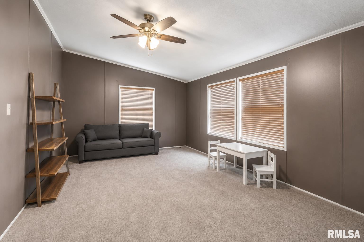 101 East Knauer Street Ava, IL 62907 - Photo 11 of 29