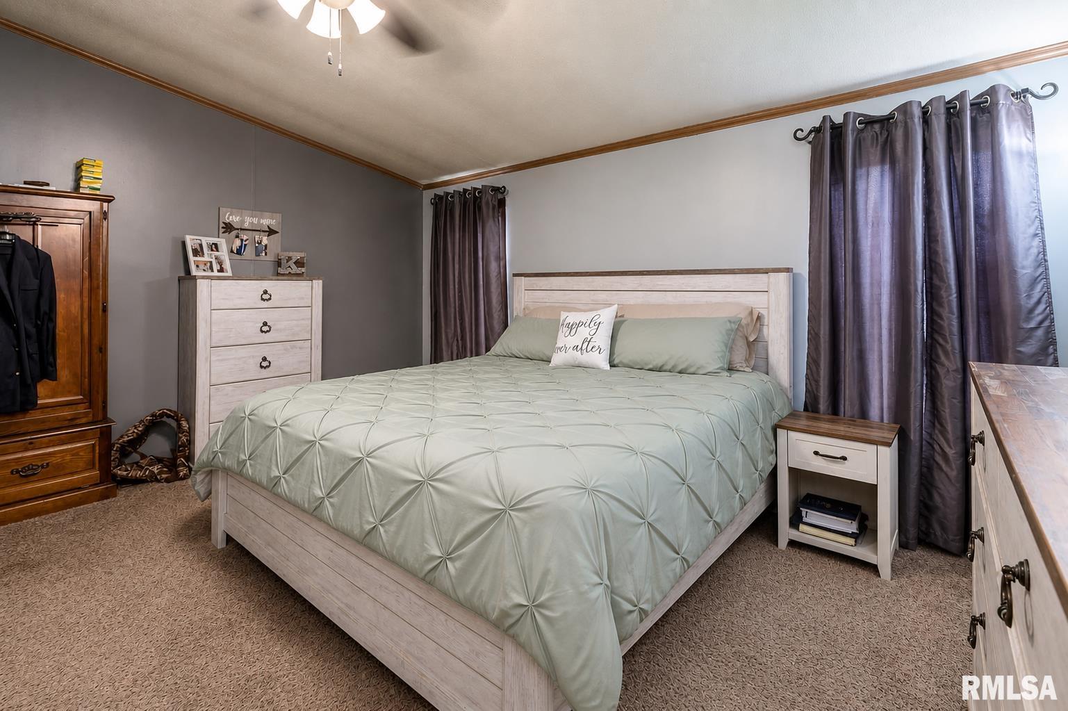 101 East Knauer Street Ava, IL 62907 - Photo 13 of 29