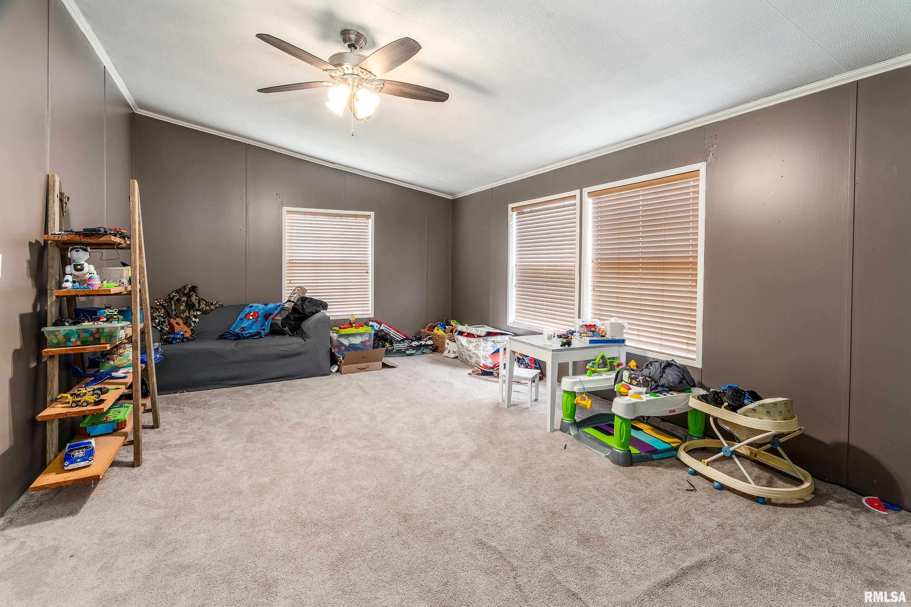 101 East Knauer Street Ava, IL 62907 - Photo 21 of 44