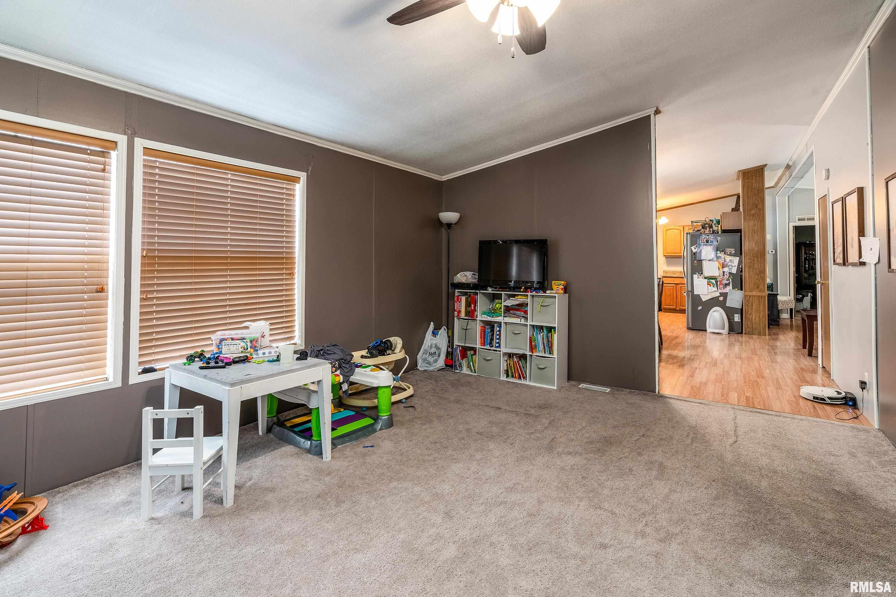 101 East Knauer Street Ava, IL 62907 - Photo 22 of 44