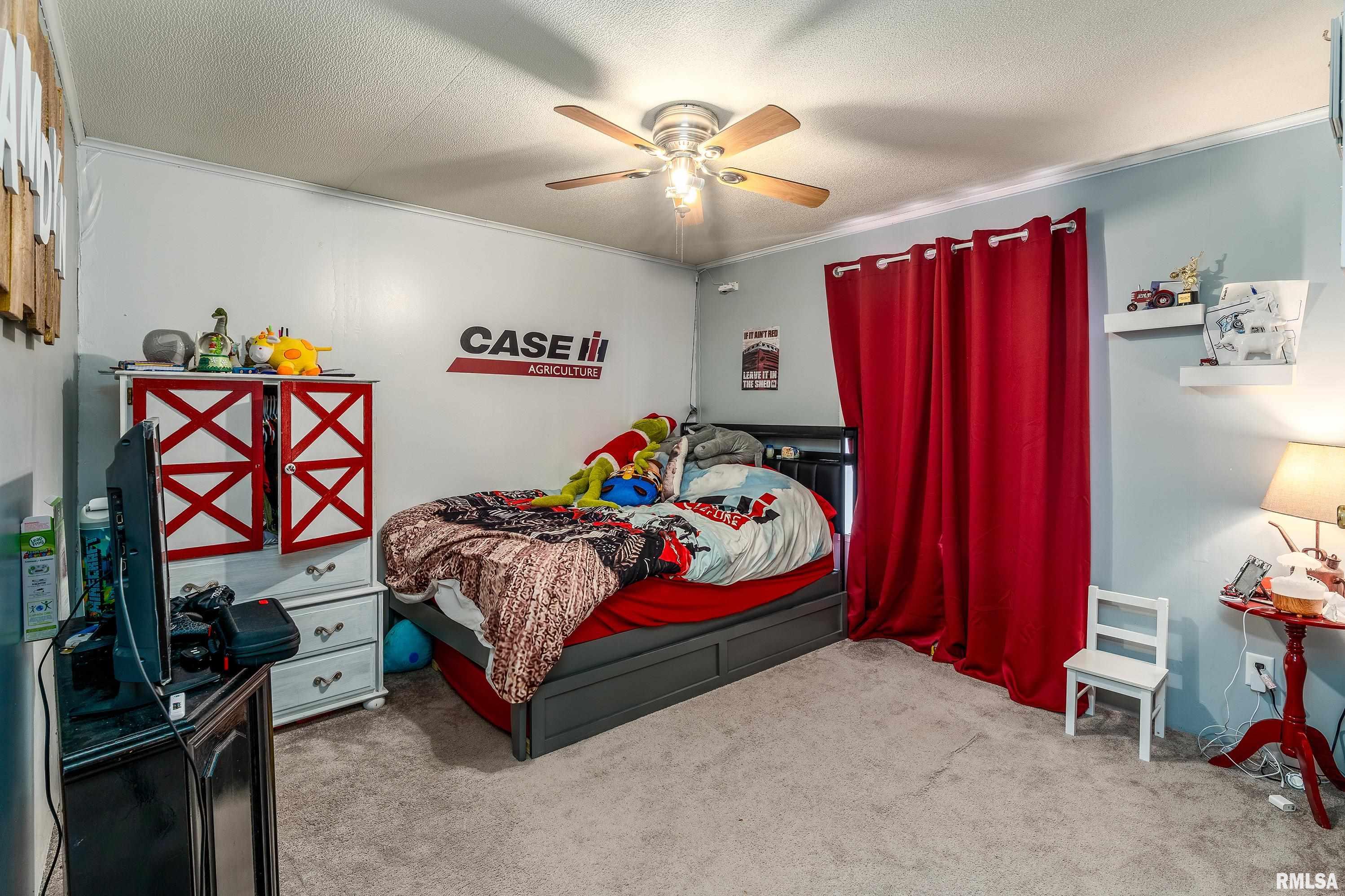 101 East Knauer Street Ava, IL 62907 - Photo 25 of 44