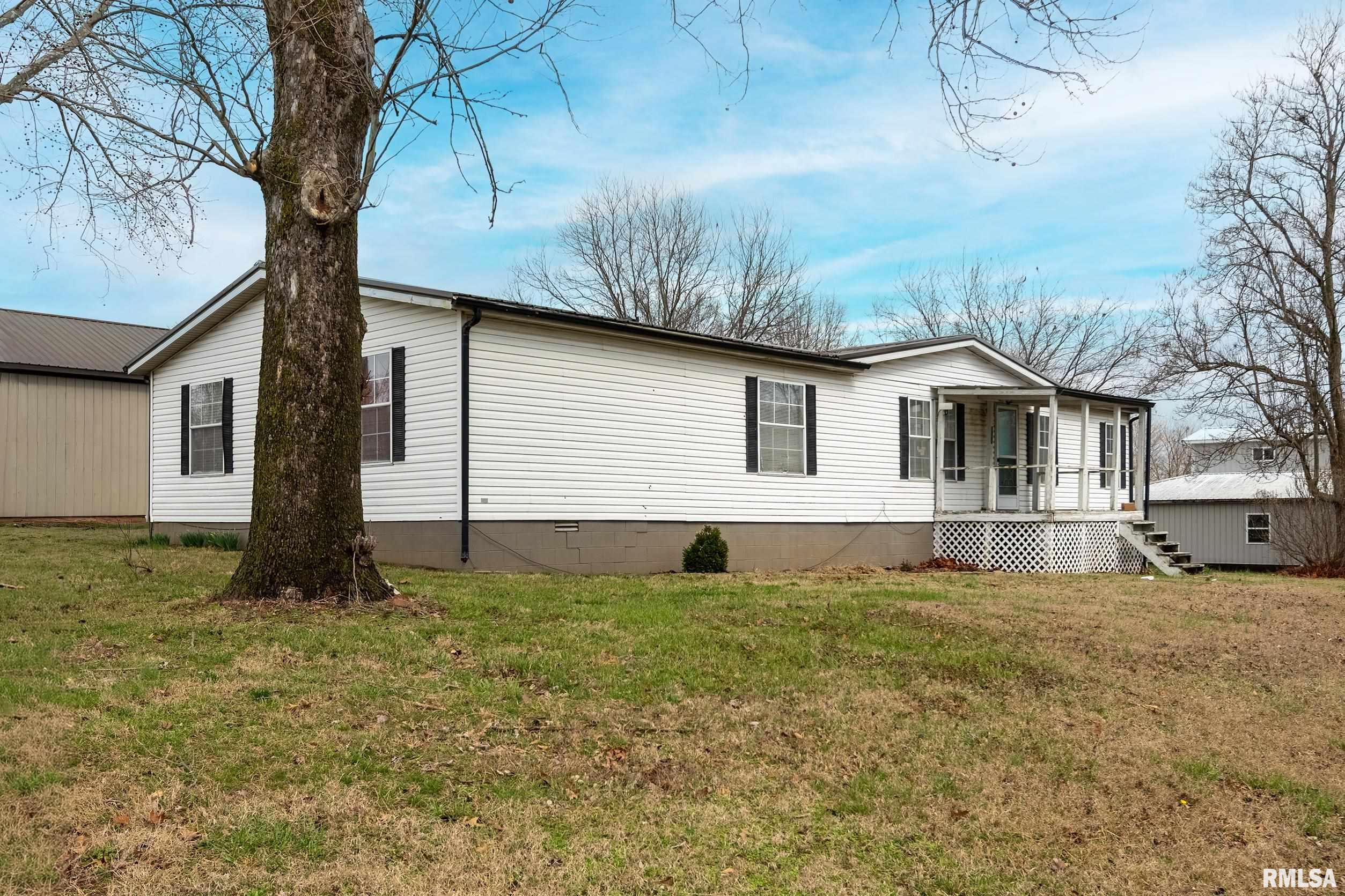 101 East Knauer Street Ava, IL 62907 - Photo 3 of 44