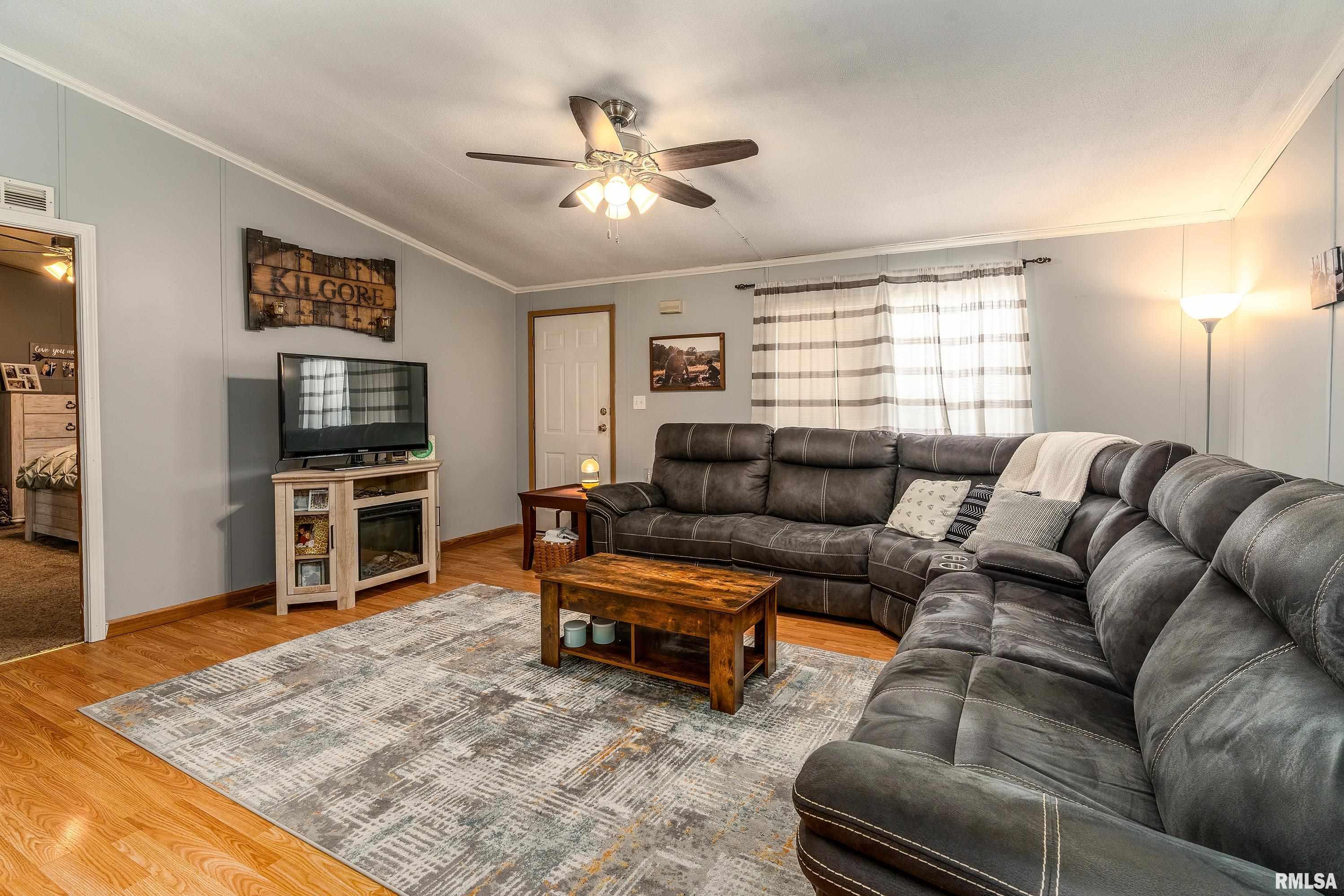 101 East Knauer Street Ava, IL 62907 - Photo 5 of 44