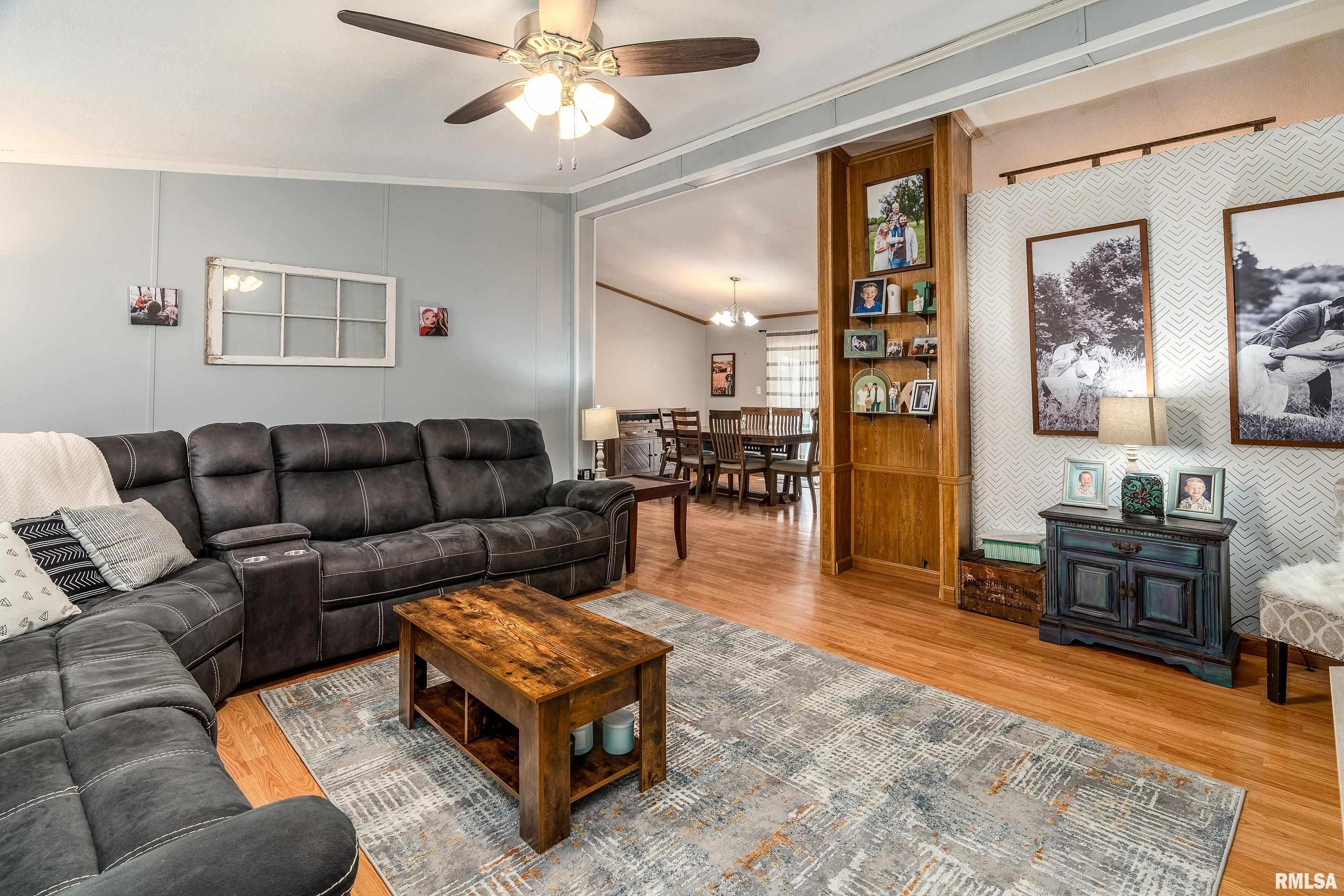 101 East Knauer Street Ava, IL 62907 - Photo 7 of 44