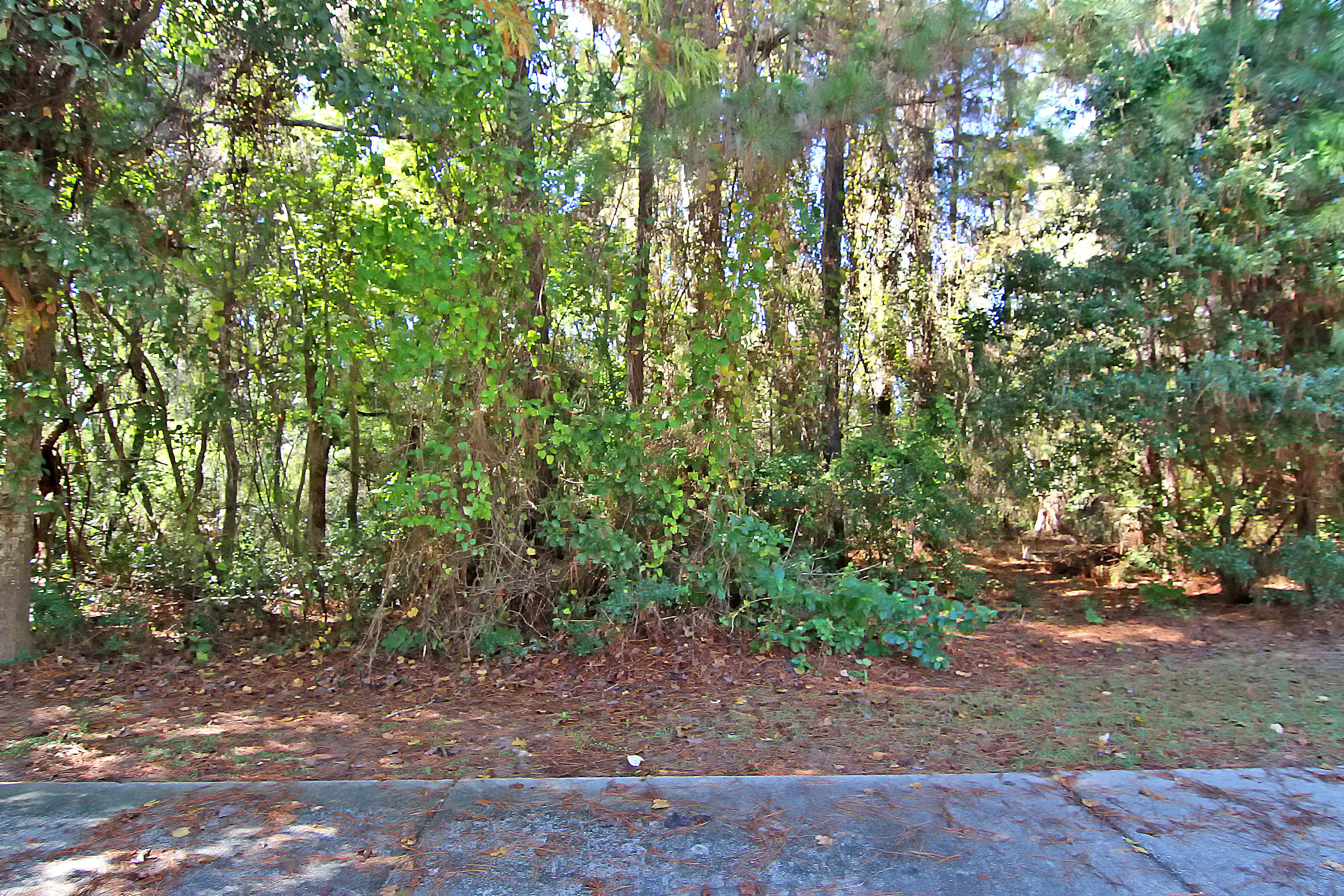 727 Navigators Run Mount Pleasant, SC 29464 - Photo 11 of 23 Lot Frontage