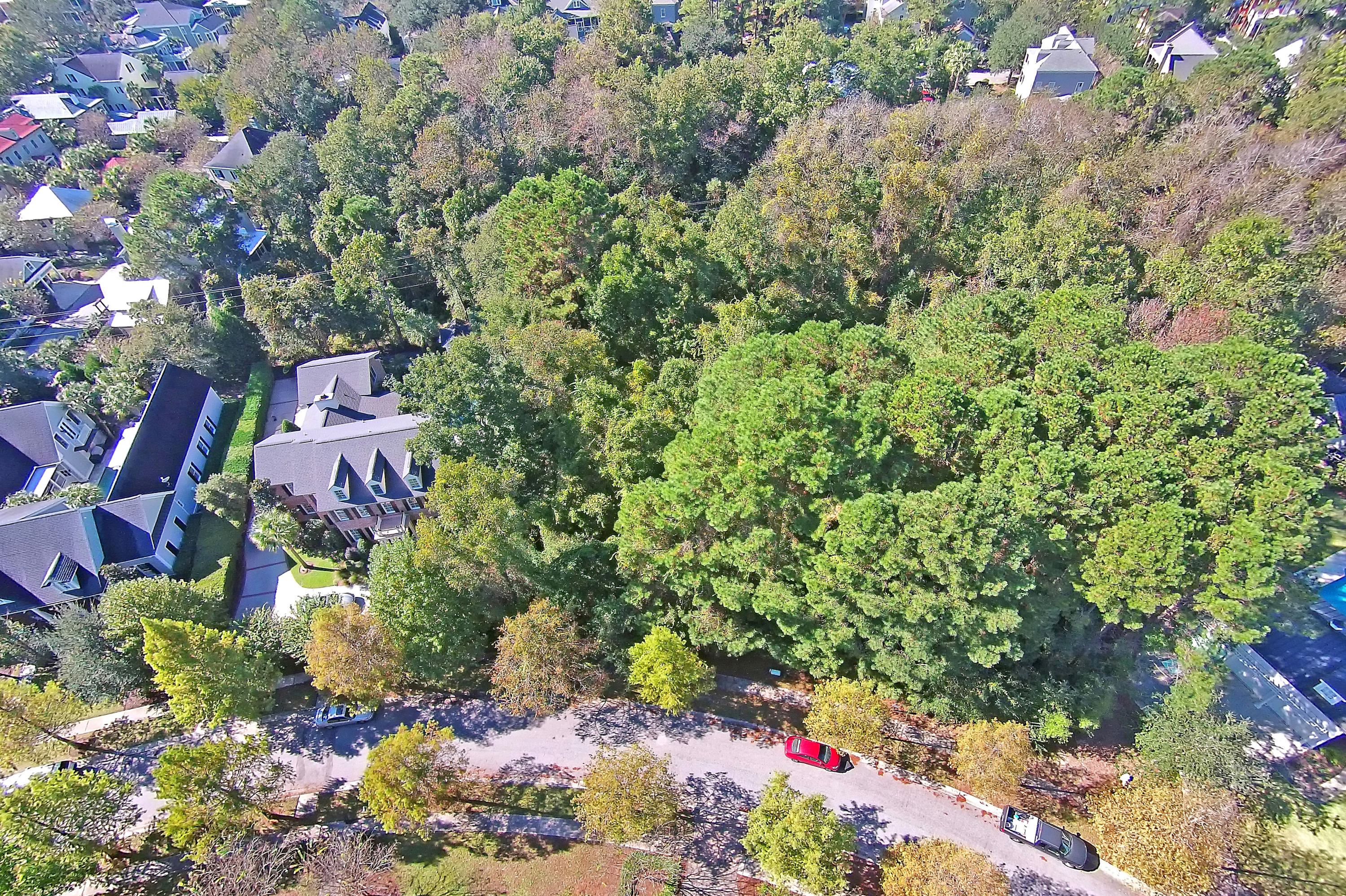 727 Navigators Run Mount Pleasant, SC 29464 - Photo 12 of 23 Lot from Above